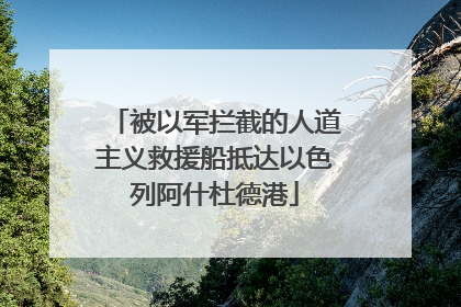 被以军拦截的人道主义救援船抵达以色列阿什杜德港