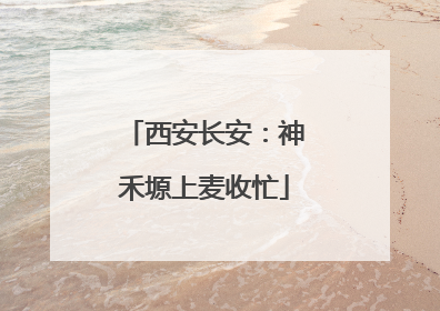 西安长安：神禾塬上麦收忙