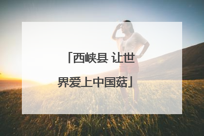 西峡县 让世界爱上中国菇