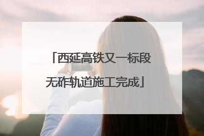 西延高铁又一标段无砟轨道施工完成