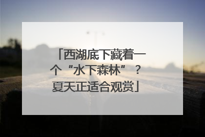 西湖底下藏着一个“水下森林”？夏天正适合观赏