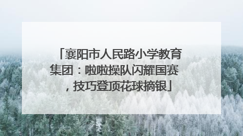 襄阳市人民路小学教育集团：啦啦操队闪耀国赛，技巧登顶花球摘银