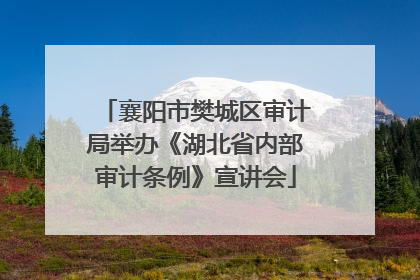 襄阳市樊城区审计局举办《湖北省内部审计条例》宣讲会