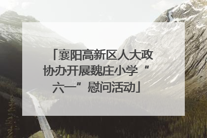 襄阳高新区人大政协办开展魏庄小学“六一”慰问活动