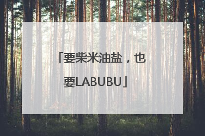 要柴米油盐，也要LABUBU