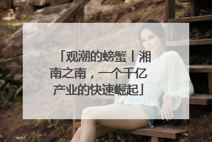 观潮的螃蟹丨湘南之南，一个千亿产业的快速崛起