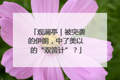 观澜亭｜被突袭的伊朗，中了美以的“双簧计”？