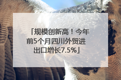 规模创新高！今年前5个月四川外贸进出口增长7.5%