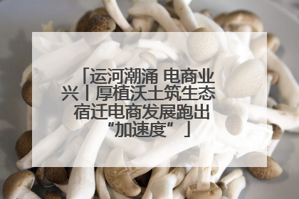运河潮涌 电商业兴丨厚植沃土筑生态 宿迁电商发展跑出“加速度”