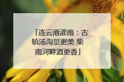 连云港灌南：古镇汤沟景更美 柴南河畔酒更香