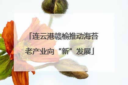 连云港赣榆推动海苔老产业向“新”发展