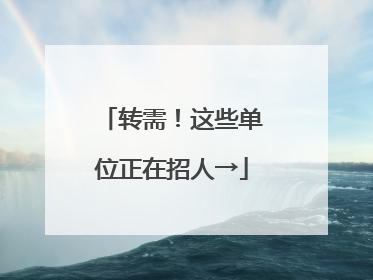 转需！这些单位正在招人→