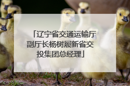辽宁省交通运输厅副厅长杨树履新省交投集团总经理