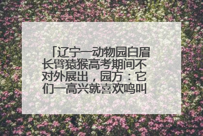 辽宁一动物园白眉长臂猿猴高考期间不对外展出，园方：它们一高兴就喜欢鸣叫，怕影响考试