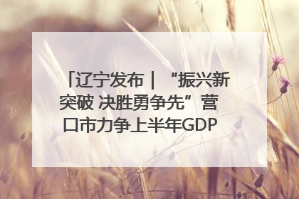 辽宁发布｜“振兴新突破 决胜勇争先”营口市力争上半年GDP增长6%左右