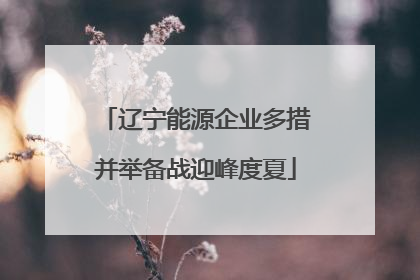 辽宁能源企业多措并举备战迎峰度夏