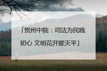 贺州中院：司法为民践初心 文明花开耀天平