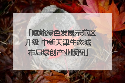 赋能绿色发展示范区升级 中新天津生态城布局绿创产业版图