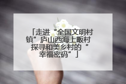 走进“全国文明村镇”庐山西海上畈村 探寻和美乡村的“幸福密码”