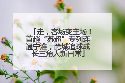 走，客场变主场！首趟“苏超”专列连通宁淮，跨城追球成长三角人新日常