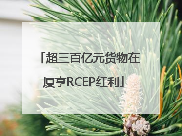 超三百亿元货物在厦享RCEP红利