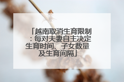 越南取消生育限制：每对夫妻自主决定生育时间、子女数量及生育间隔