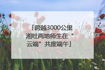 跨越3000公里 湘吐两地师生在“云端”共度端午