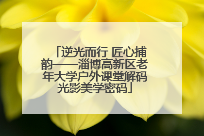 逆光而行 匠心捕韵——淄博高新区老年大学户外课堂解码光影美学密码