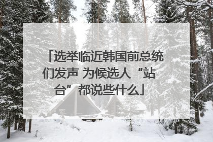 选举临近韩国前总统们发声 为候选人“站台”都说些什么