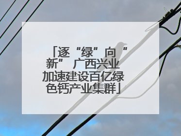 逐“绿”向“新” 广西兴业加速建设百亿绿色钙产业集群