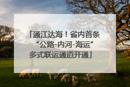 通江达海！省内首条“公路-内河-海运”多式联运通道开通