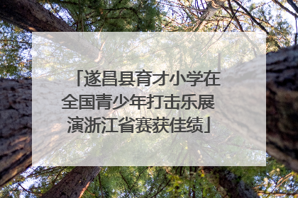遂昌县育才小学在全国青少年打击乐展演浙江省赛获佳绩