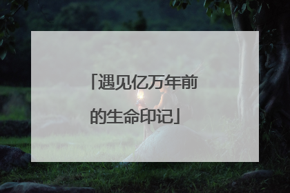 遇见亿万年前的生命印记