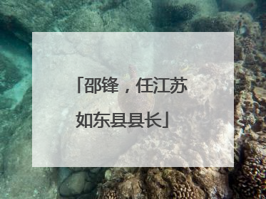 邵锋，任江苏如东县县长