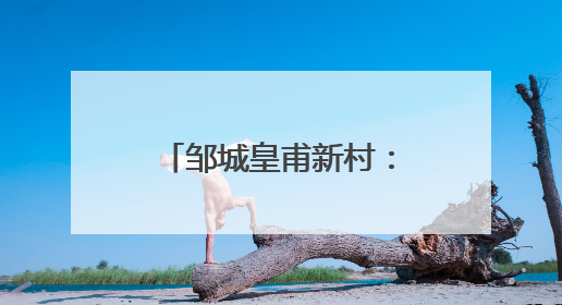 邹城皇甫新村：荷塘里养虾，一亩增收6000元