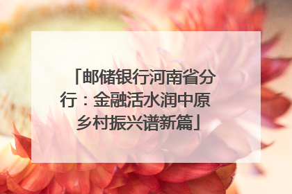 邮储银行河南省分行：金融活水润中原 乡村振兴谱新篇