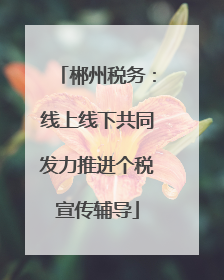 郴州税务：线上线下共同发力推进个税宣传辅导
