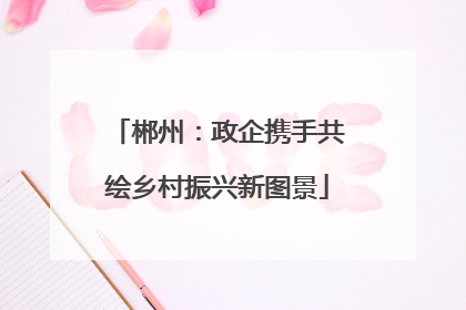 郴州：政企携手共绘乡村振兴新图景
