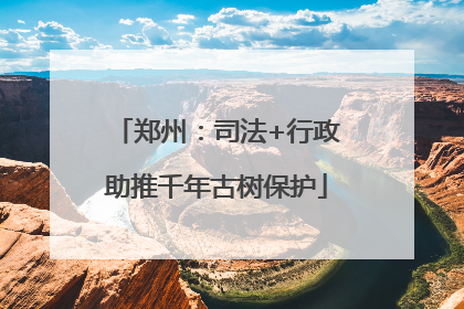 郑州：司法+行政助推千年古树保护