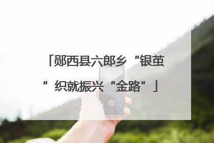 郧西县六郎乡“银茧”织就振兴“金路”