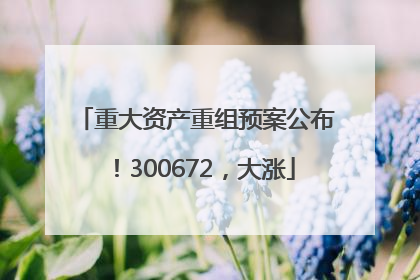 重大资产重组预案公布！300672，大涨