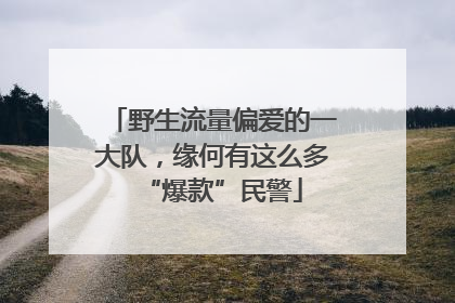 野生流量偏爱的一大队，缘何有这么多“爆款”民警