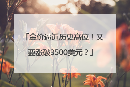 金价逼近历史高位！又要涨破3500美元？