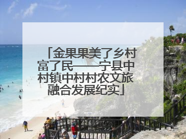 金果果美了乡村富了民——宁县中村镇中村村农文旅融合发展纪实