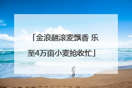金浪翻滚麦飘香 乐至4万亩小麦抢收忙