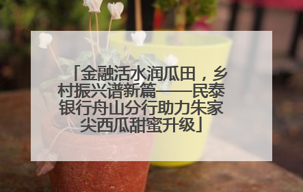 金融活水润瓜田，乡村振兴谱新篇——民泰银行舟山分行助力朱家尖西瓜甜蜜升级