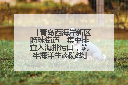 青岛西海岸新区隐珠街道：集中排查入海排污口，筑牢海洋生态防线