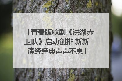 青春版歌剧《洪湖赤卫队》启动创排 新新演绎经典声声不息