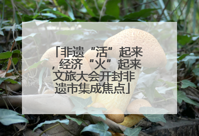 非遗“活”起来，经济“火”起来 文旅大会开封非遗市集成焦点
