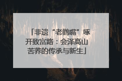 非遗“老鹳嘴”啄开致富路：会泽高山苦荞的传承与新生